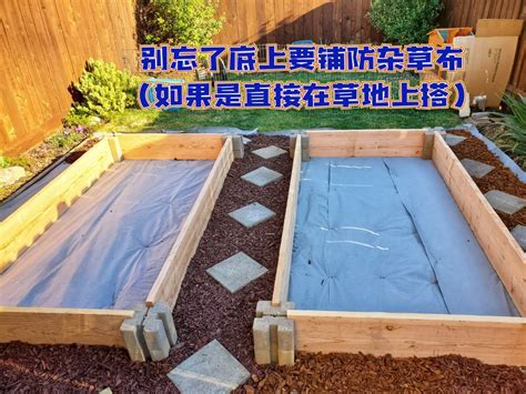 菜床|【养花·种菜】025 DIY 如何搭建健康高效菜床 ...